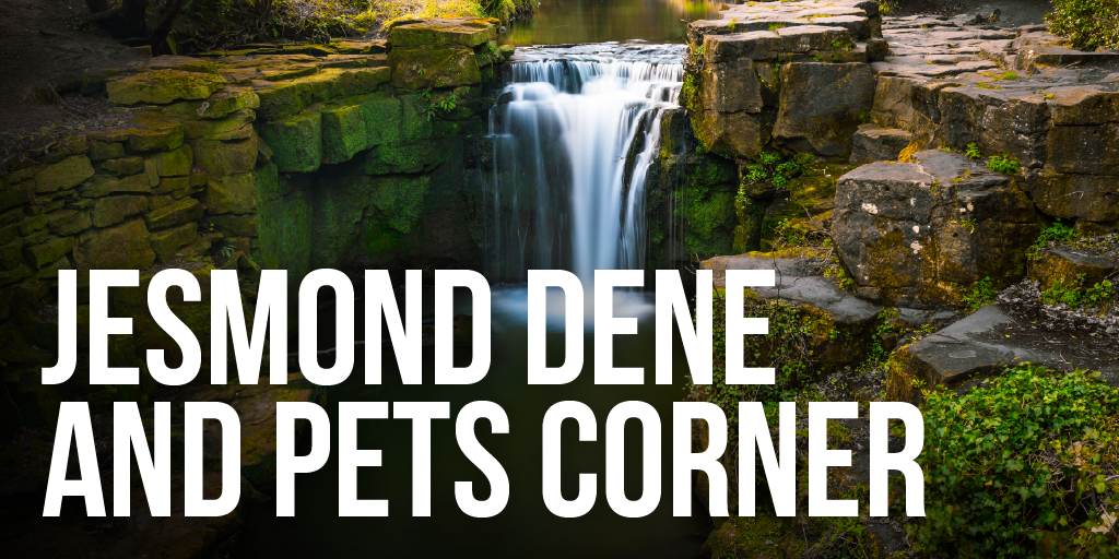 An image of Jesmond Dene